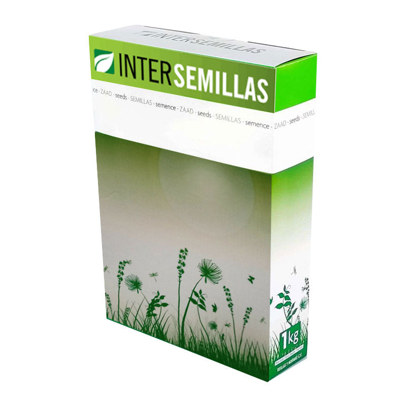 Semillas De Hedysarium Coronarium Caja De 1 Kg._0