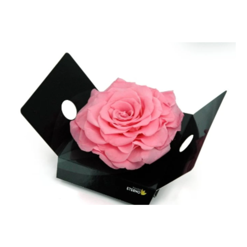 Mundo Eterno Rosmelia Preservada Rosa Pastel 12cm_0