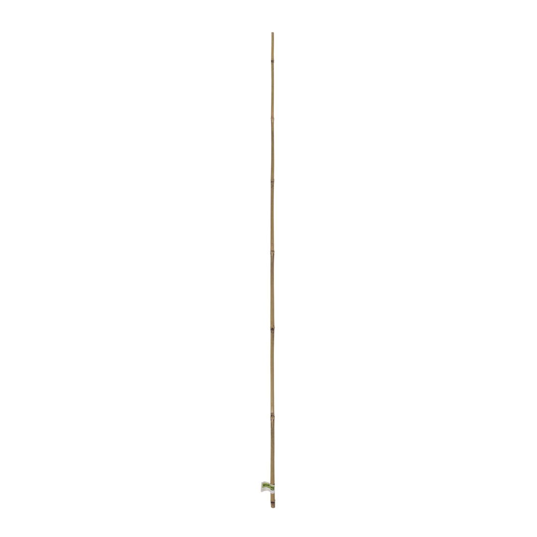 Tutor Bambú Ø20-22mmx1,5 M Nortene_1