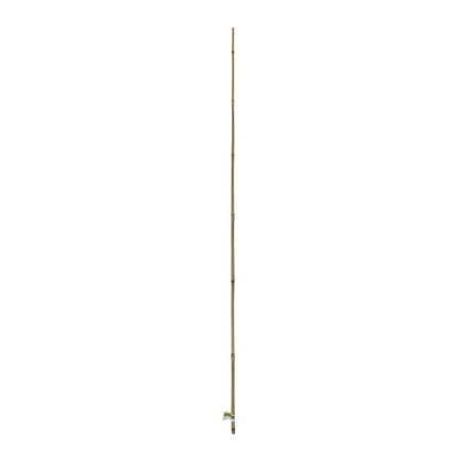 Tutor Bambú Ø20-22mmx1,5 M Nortene_1