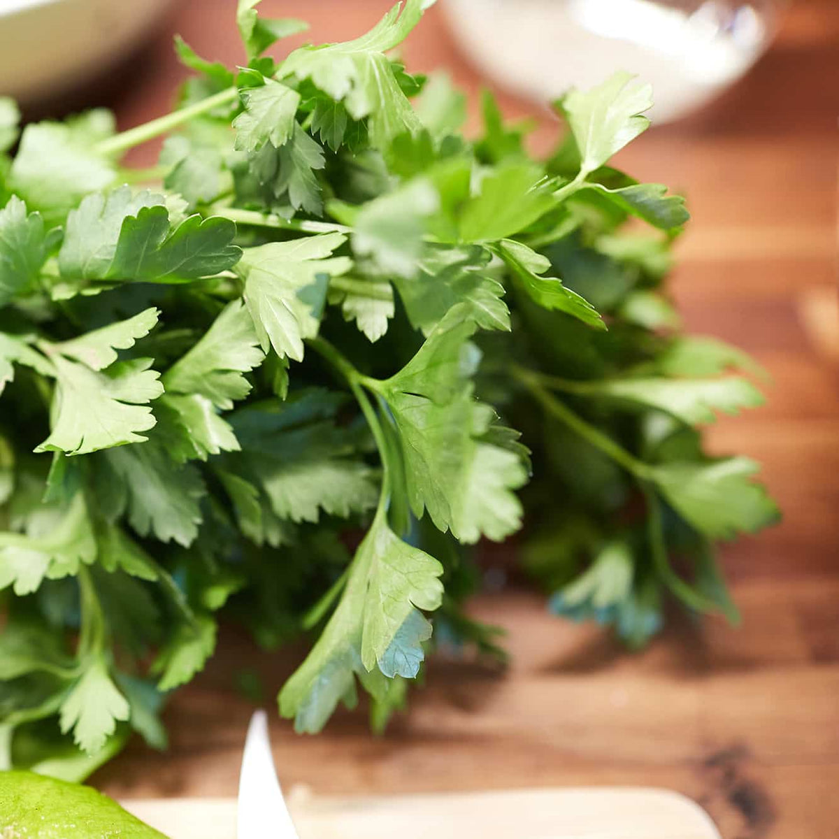 Mini Huerto Hierbas Aromáticas Perejil, Albahaca y Cilantro | Kit Fácil - Resetea_3