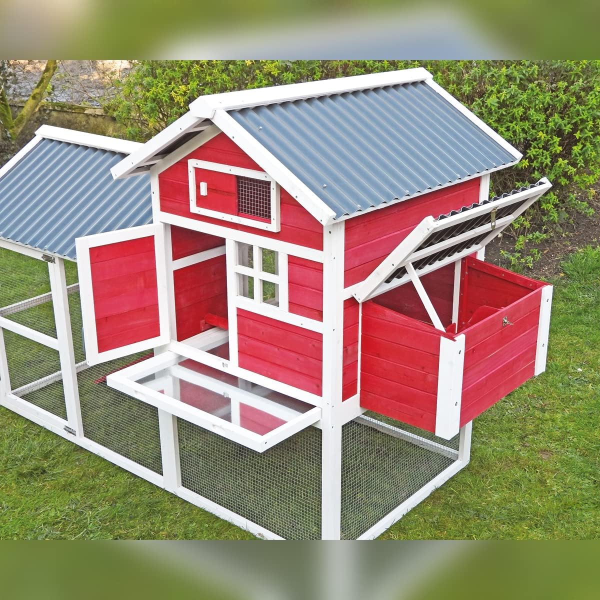 Gallinero House 2 - Capacidad Para 5-7 Gallinas_2