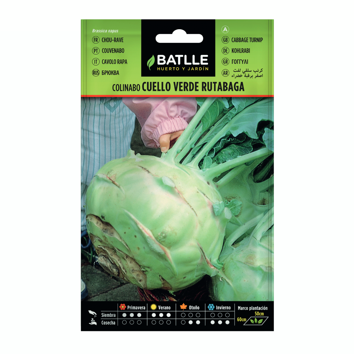 Semillas de Colinabo Rutabaga Cuello Verde Batlle
