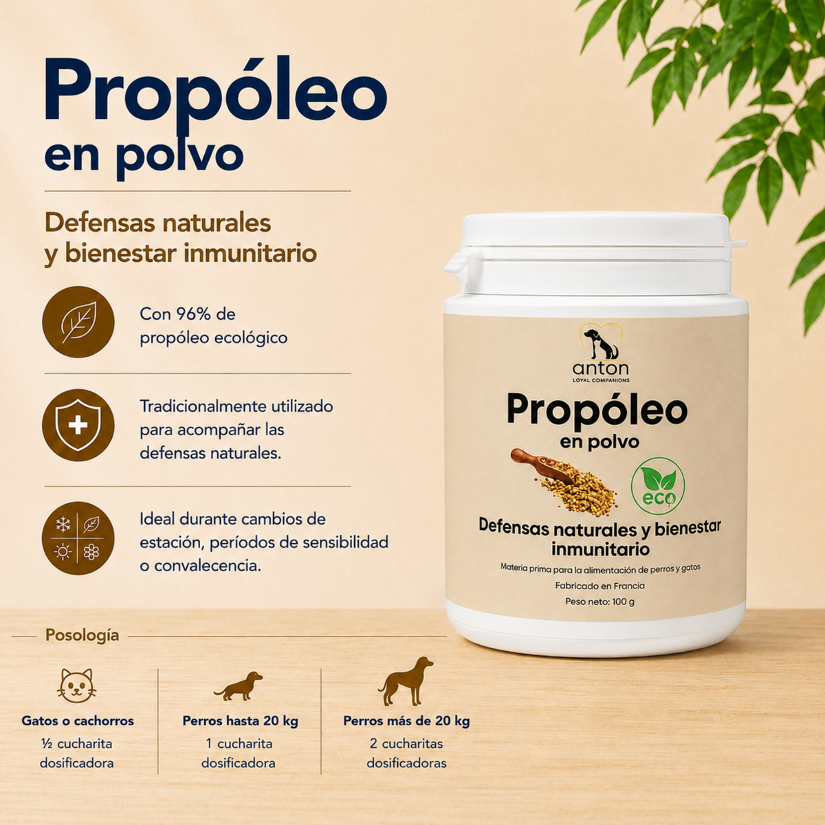 Cuidado Completo – Bienestar Diario Y Defensas Naturales Para Perros Y Gatos_3