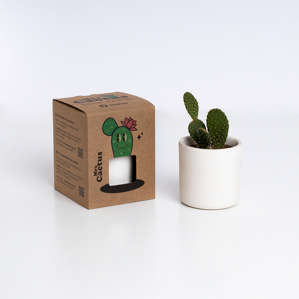 Macetero de Terracota Verde Helecho 13 cm – Hecho a Mano por Artesanos, Maceta Decorativa - Resetea_2