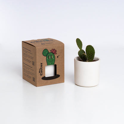 Macetero de Terracota Verde Helecho 13 cm – Hecho a Mano por Artesanos, Maceta Decorativa - Resetea_2