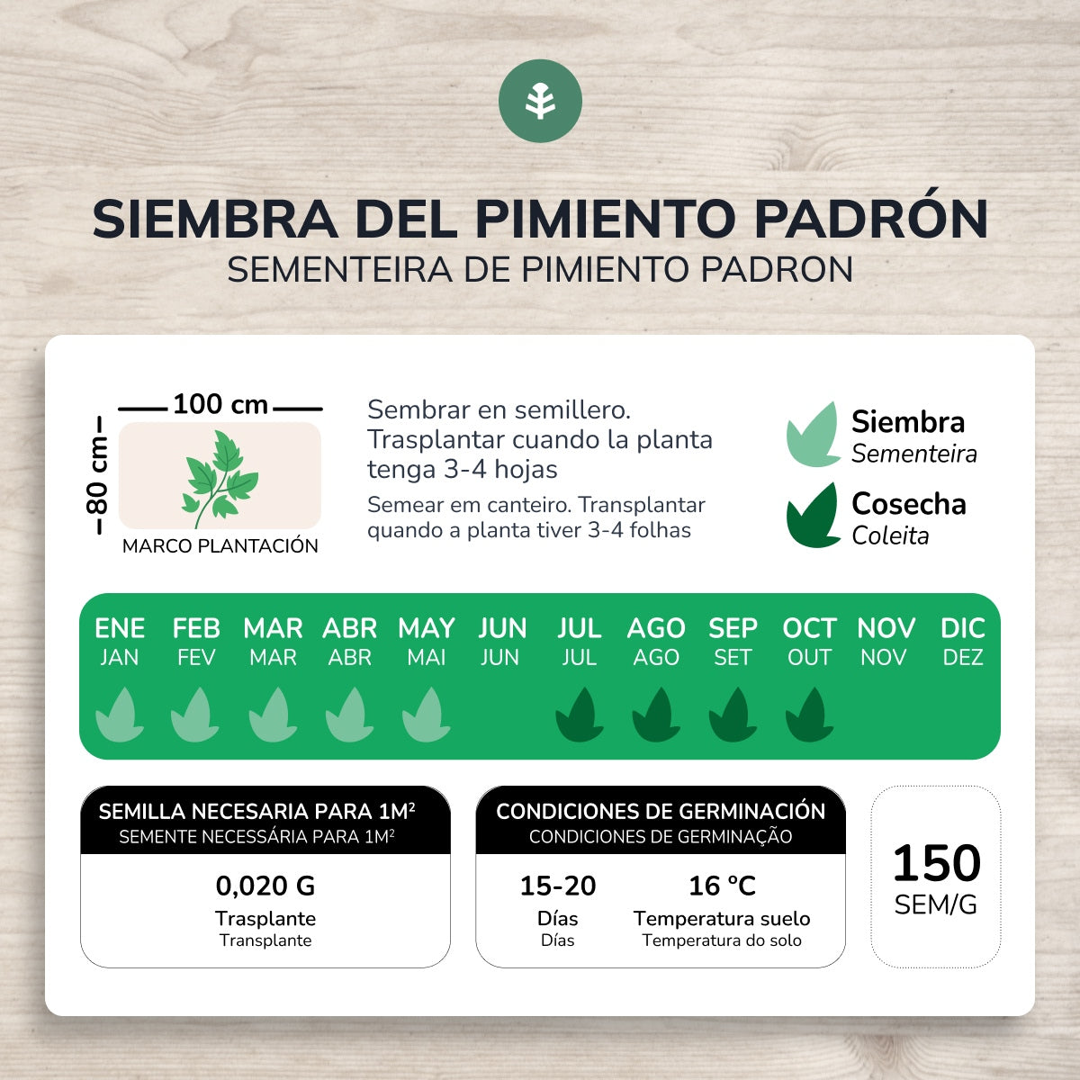 Semillas de Pimiento de Padrón ecológicas Planeta Huerto