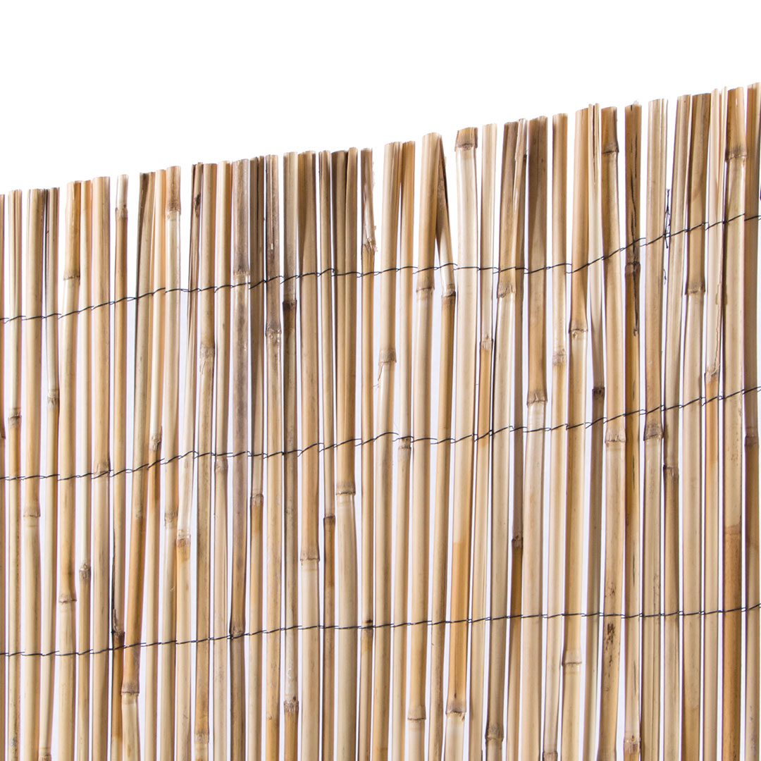 Cañizo Entero Varilla Media - Cañas Naturales Y Ecológicas - 2x5 M - Multicolor_1