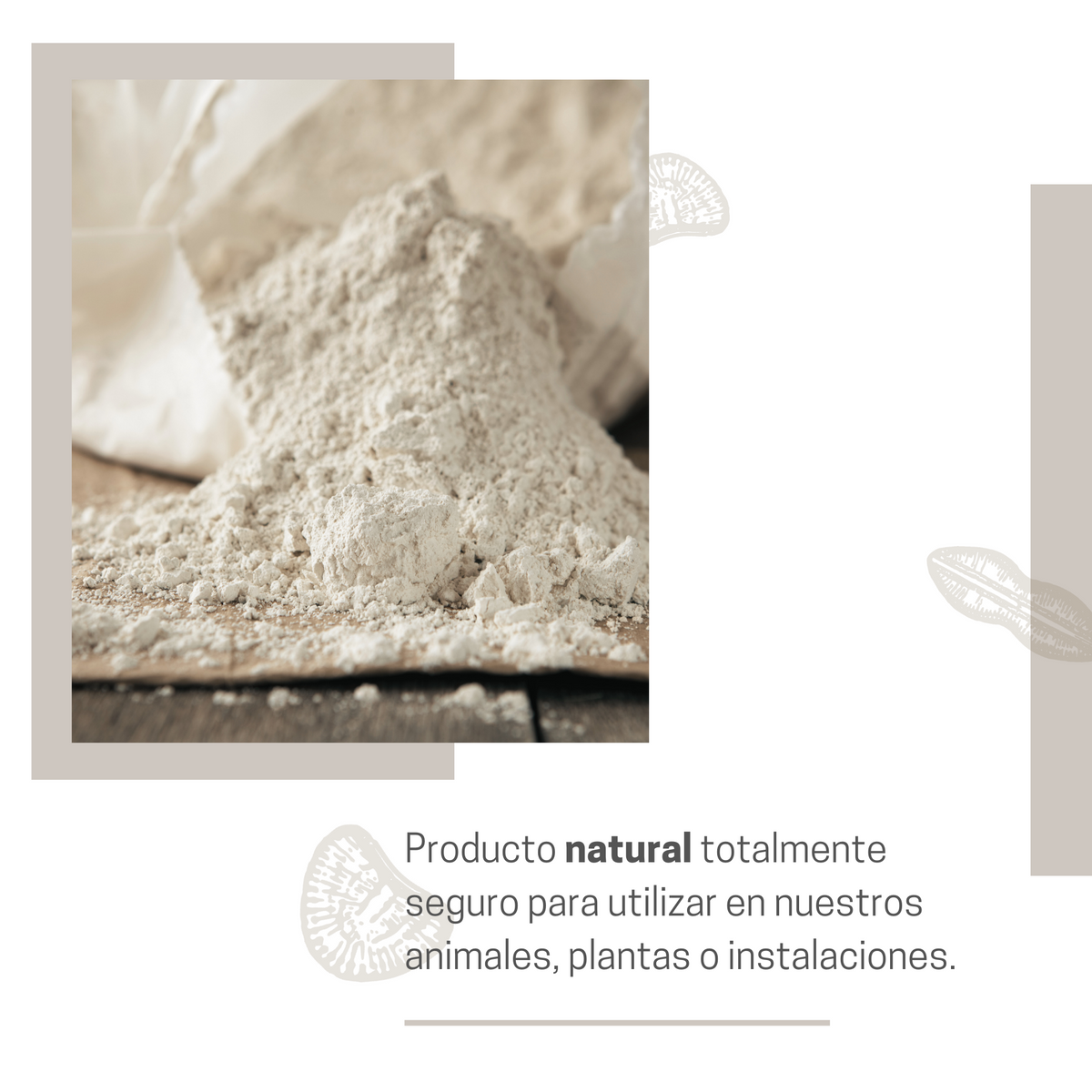 Tierra De Diatomeas Para Ayudar A Mantener El Gallinero Libre De Parásitos - Producto Natural - Saco De 20kg_2