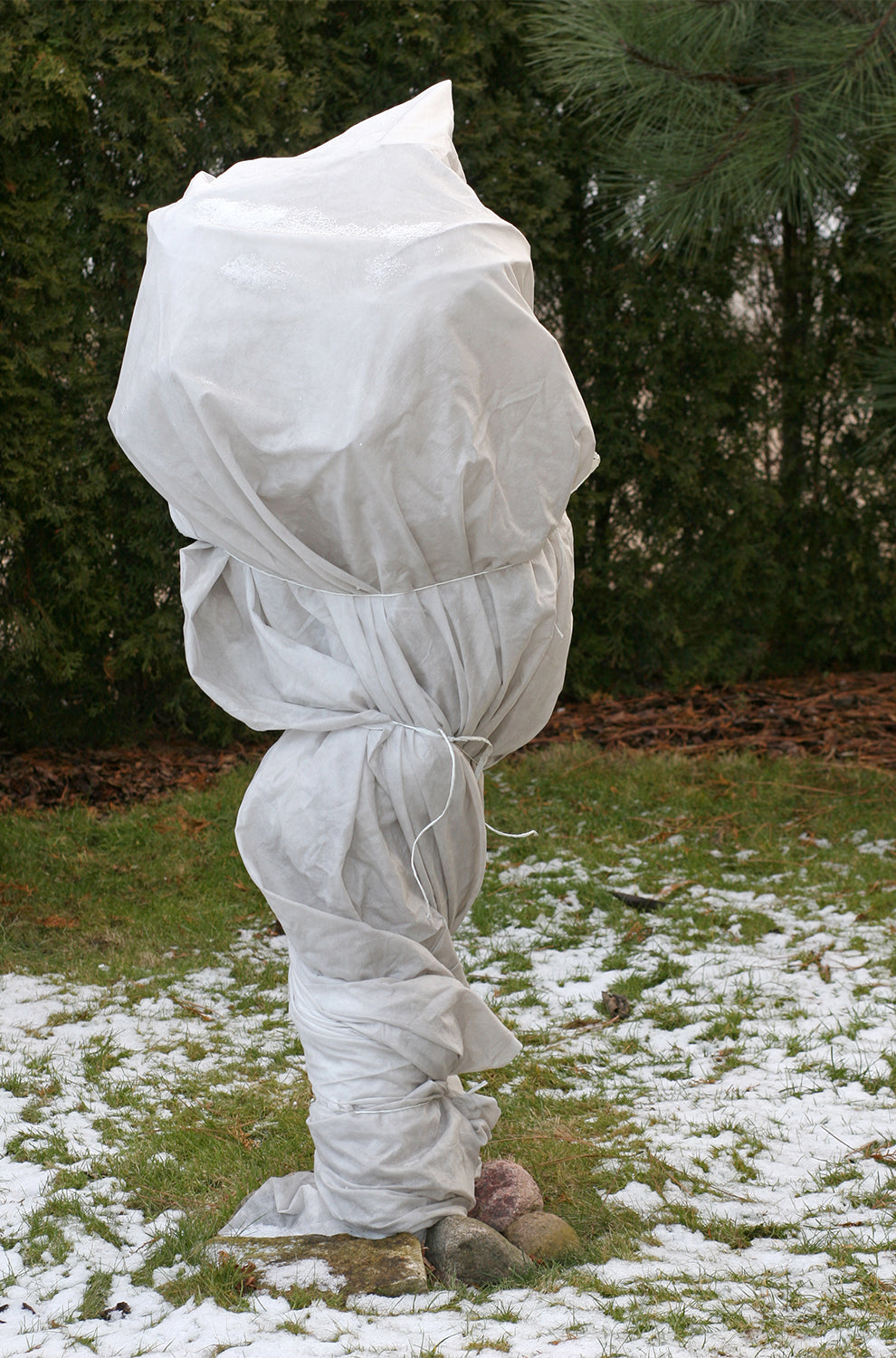 160m² Forro Polar De Protección De Invierno Forro Polar De Invierno Protección Contra Heladas 60 G_3