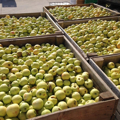 Elaborado de Pera y Manzana Ecológica sin azúcares añadidos Ékolo 700 g