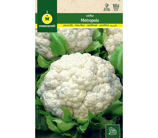 Semillas Coliflor Metropole_0