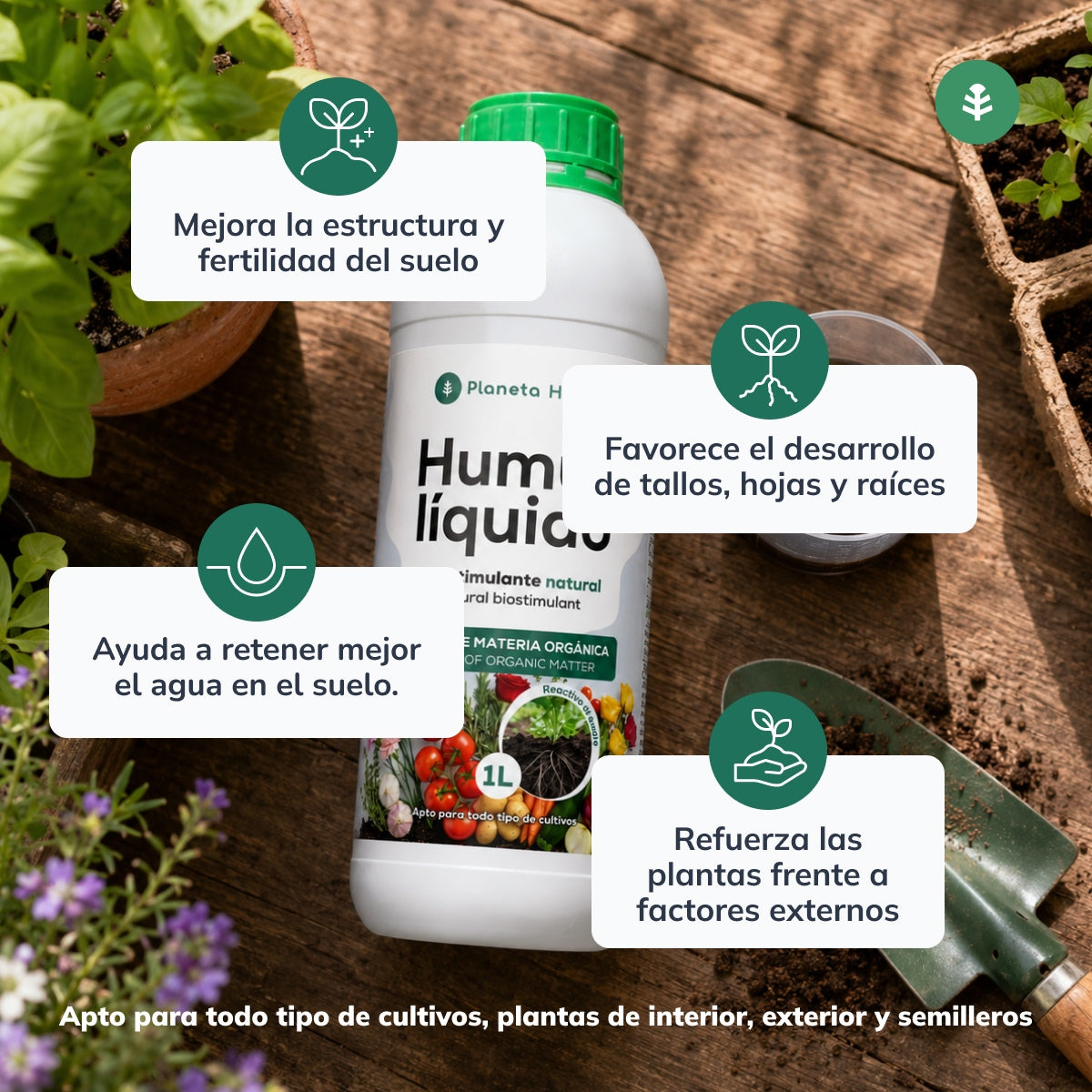Pack "Raíces fuertes para el Otoño"