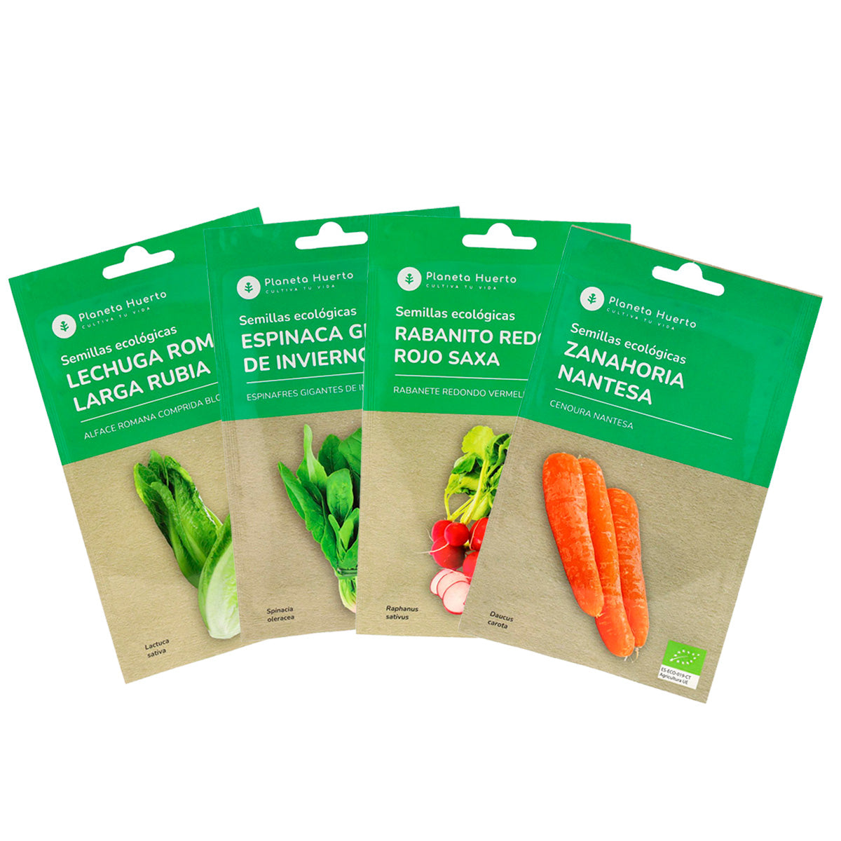 Pack grande “Mi mesa de cultivo de otoño”