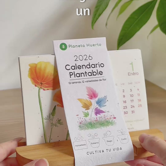 Calendario plantable de Navidad 2026 Transforma el tiempo en naturaleza Planeta Huerto