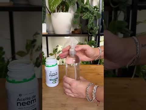 Aceite de Neem 100% Puro y Natural Planeta Huerto 250ml